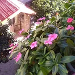 アパート Casa Belvedere *