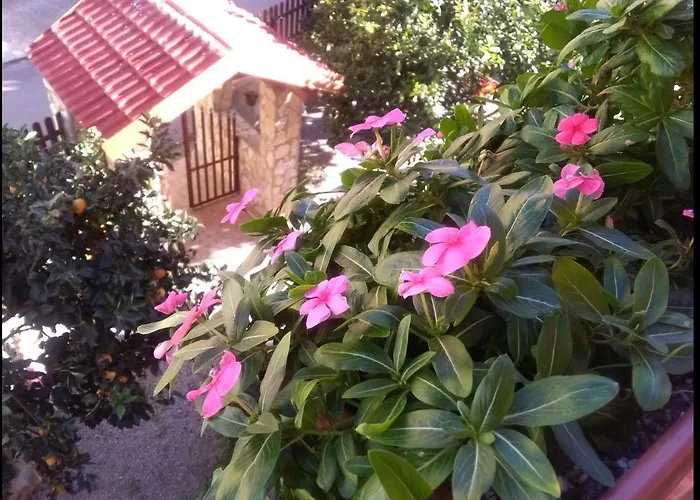 Apartment Casa Belvedere *