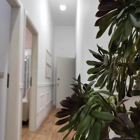 Appartement Casa Belvedere *