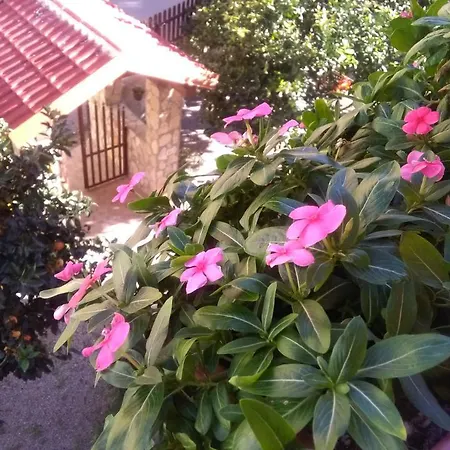 Appartement Casa Belvedere *