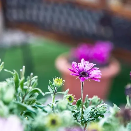 Appartement Casa Belvedere Agrigente