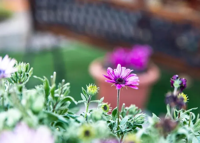 Apartman Casa Belvedere Agrigento